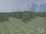 fy_snow2009