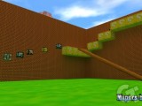 zm_mario_cube